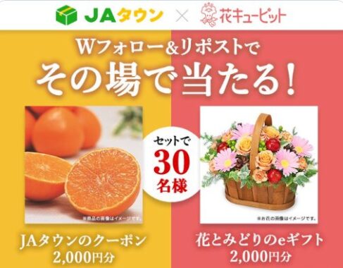 JAタウンクーポン＆花とみどりのeギフトがその場で当たるキャンペーン