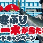 富山を代表する高級ブランド「ひみ寒ぶり」が当たる豪華懸賞