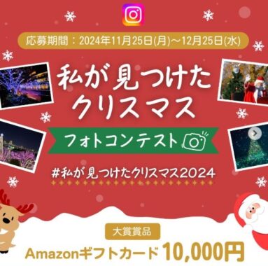 屋外で撮影したクリスマス写真の投稿キャンペーン