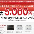 全プレ！えらべるPayがもらえる、日立IHクッキングヒーター購入キャンペーン