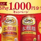 えらべるPay 1,000円分