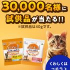 AllWell試供品