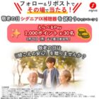 えらべるPay 1,000円分