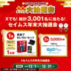 Nintendo Switch＋ゲームソフト / QUOカードPay 100円分