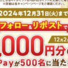 えらべるPay 最大1万円分