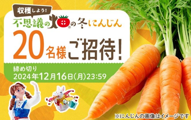 【栃木県】にんじん収穫体験ツアーが当たる特別体験キャンペーン