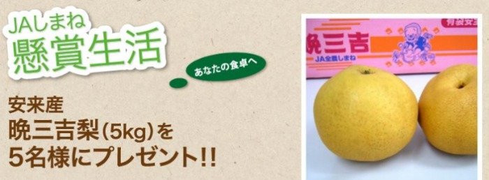 【島根県】JAしまねの特産品などが当たる豪華プレゼントキャンペーン