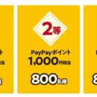 PayPayポイント 最大3,000円分