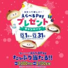 えらべるPay 最大3,000円分