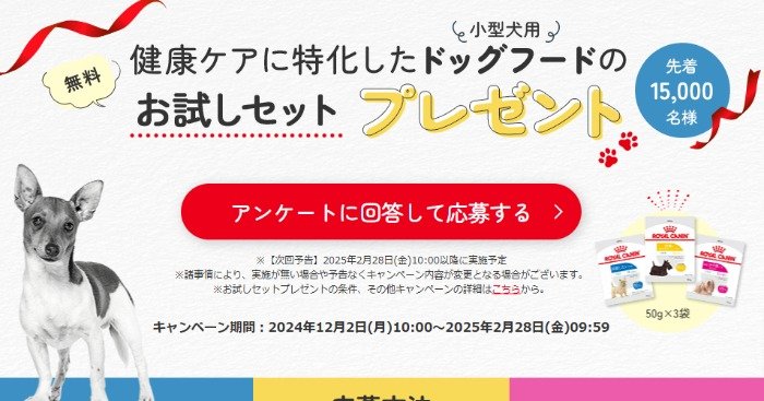 ロイヤルカナンの小型犬用ドッグフードがお試しできるキャンペーン