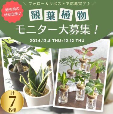 販売前の観葉植物が当たる、商品モニター募集キャンペーン