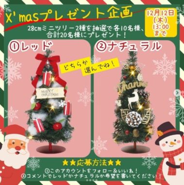 選べる「クリスマスミニツリー」が20名様に当たるプレゼント企画