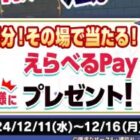 えらべるPay 最大10,000円分