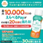 えらべるPay 最大10,000円分