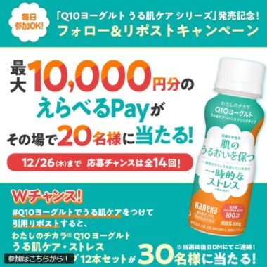 最大10,000円分のえらべるPayがその場で当たるキャンペーン