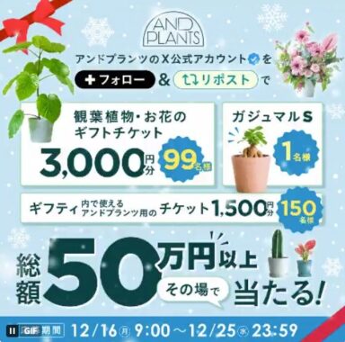 ガジュマルや観葉植物オンラインストアで使えるデジタルギフトが当たるキャンペーン