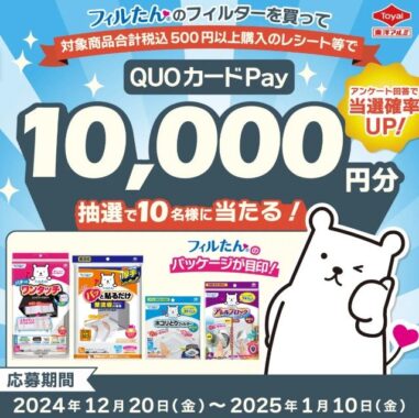 10,000円分のQUOカードPayが10名様に当たるクローズドキャンペーン