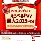 毎回100名様にえらべるPayがその場で当たるXキャンペーン