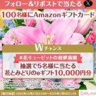 Amazonギフトカード 500円分