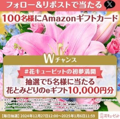 Amazonギフトカード500円分がその場で当たるXキャンペーン