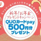 QUOカードPay 500円分