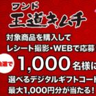 選べるデジタルコード 1,000円分 / 500円分 / 100円分