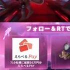 えらべるPay 総額30万円分