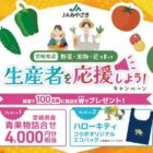 宮崎県産青果物セット+ハローキティオリジナルエコバックが当たるクローズド懸賞