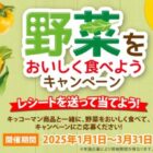 【キッコーマン×企業各社】商品券が当たるレシートキャンペーン