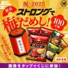 ストロング ポテトチップス詰め合わせ