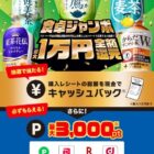 キャッシュバック 最大1万円 / コカ・コーラお茶製品セット