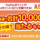 えらべるPay 最大5,000ポイント