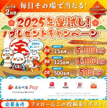 最大5,000円分のえらべるPayがその場で当たるキャンペーン