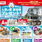 みかわ温泉 海遊亭ペア宿泊券 / いぬカフェ Rio入場券 / 中津川そば打ち体験 他