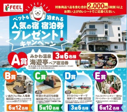 【フィール】ペットも泊まれる人気の宿 宿泊券プレゼント！キャンペーン