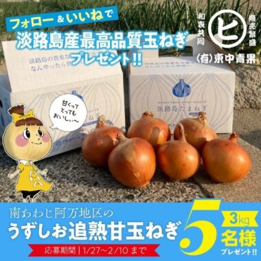 淡路島産 うずしお追熟甘玉ねぎ