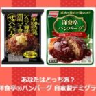 ザ★ハンバーグ&洋食亭ハンバーグ