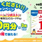 ジョーシン専用QUOカードPay 500円分