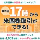 えらべるPay 最大5万円分