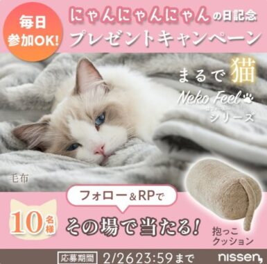 猫Feel抱っこクッションが当たる毎日応募Xキャンペーン