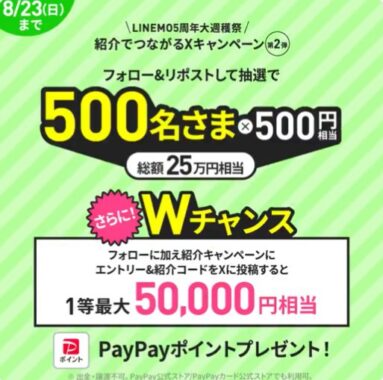 PayPayポイント 500円相当