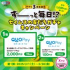 富士薬品専用QUOカードPay 最大2,000円分