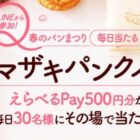 えらべるPay 500円分