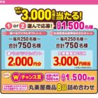 デジタルギフト 2,000円分 / 丸美屋商品セット