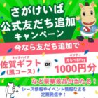 佐賀ギフト or えらべるPay1,000円分