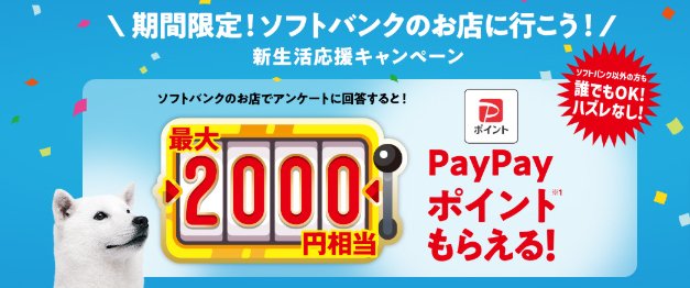 ハズレなし！最大2,000円相当のPayPayポイントが当たるソフトバンクの来店キャンペーン