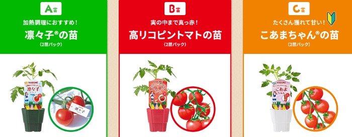 合計7,000名様にカゴメ トマトの苗が当たる大量当選レシート懸賞