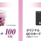 菊池風磨デザインポーチ / QUOカードPay 1万円分