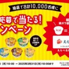 えらべるPay 300円分