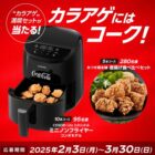 ミニノンフライヤー / 唐揚げ食べ比べセット / デジタルポイント 20ポイント